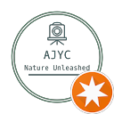 AJYC 2016 profile picture